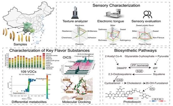 Graphical Abstract